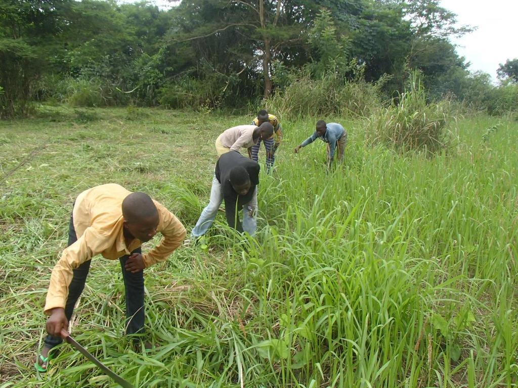 Travail et puissance mécanique